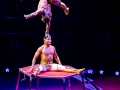 014-38e-Editie-van-het-Wereldkerstcircus-ro