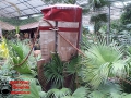 002 Pairi Daiza 2016