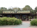 038-animal-kingdom