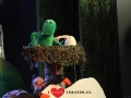 014 Kikker in het wkz