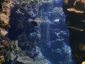 005 Burgers Zoo 16