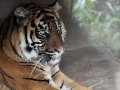 021 Burgers Zoo 16