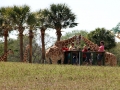 034-busch-gardens