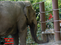 003-Dierenpark-Amersfoord