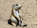 019-Dierenpark-Amersfoord