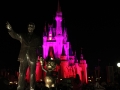 030-magic-kingdom-2