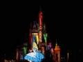 033-magic-kingdom-2