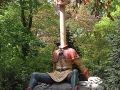 004 Efteling mei 2015.jpg
