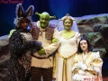 030-shrek-be