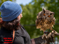 011-Falconcrest-Roofvogel-Park-Eindhoven