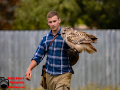 019-Falconcrest-Roofvogel-Park-Eindhoven