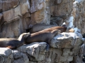 004-sea-world