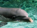 005-sea-world