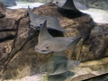014-sea-world