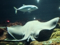 027-sea-world