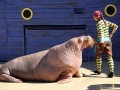 035-sea-world