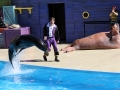 036-sea-world