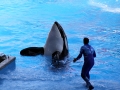 042-sea-world