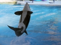 045-sea-world