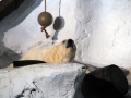 047-sea-world
