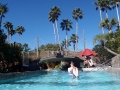 002-wet-n-wild
